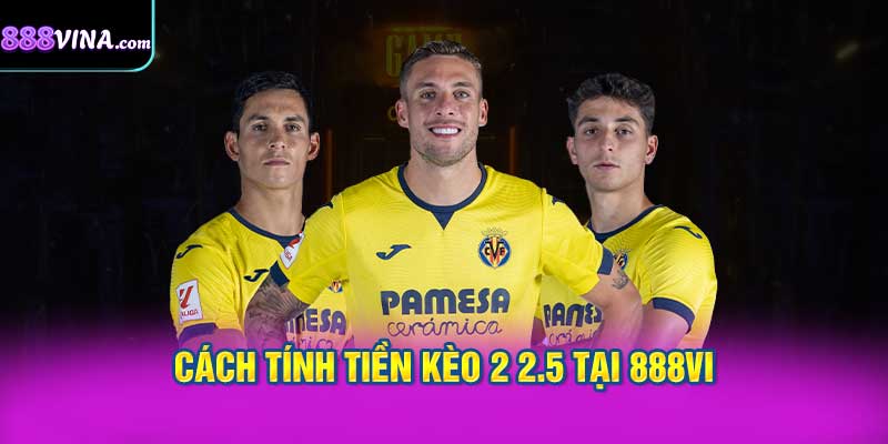 Hướng Dẫn Chi Tiết Cách Tính Tiền Kèo 2 2.5 Tại 888vi